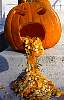pumpkin1.jpg
